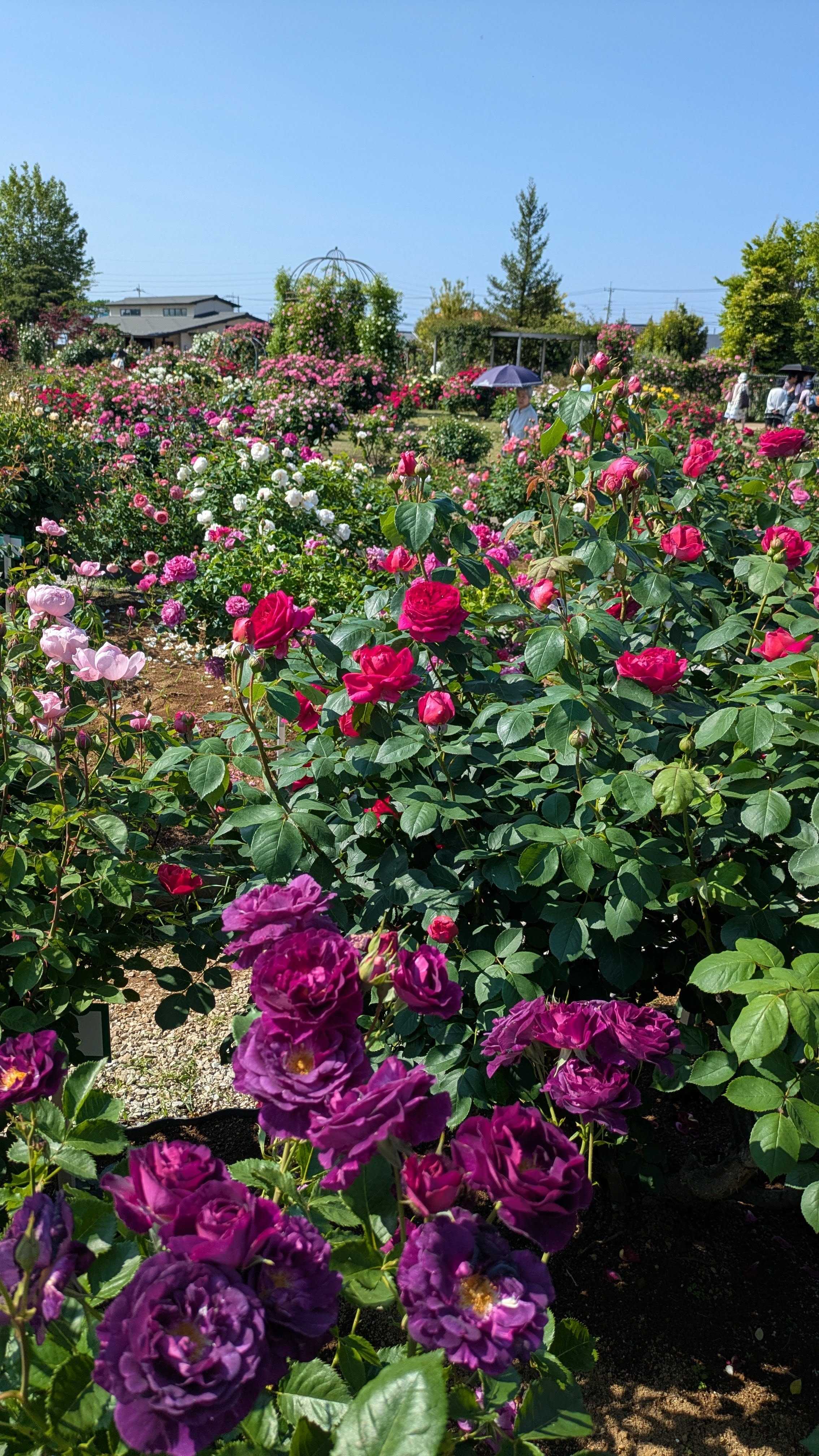 🌸 꽃 마을(카큐노사토) 이미지 10